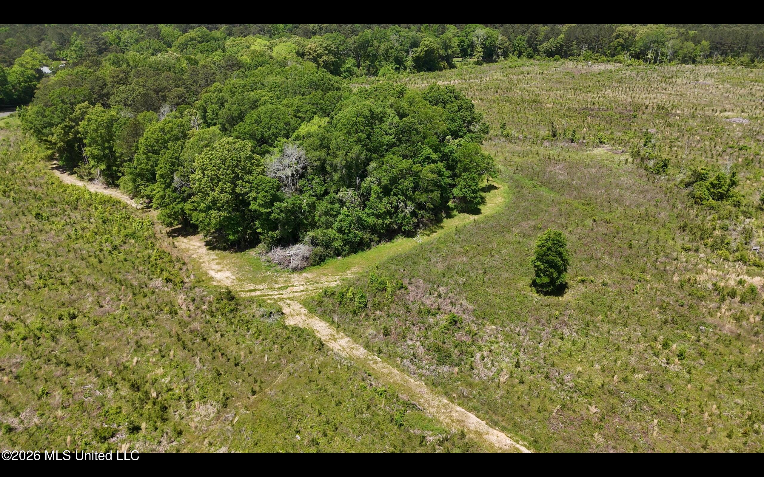 Magnolia Holmesville Road McComb, MS 39648 - Photo 15 of 74 Screen Shot 2026-04-15 at 10.42.44 AM 2