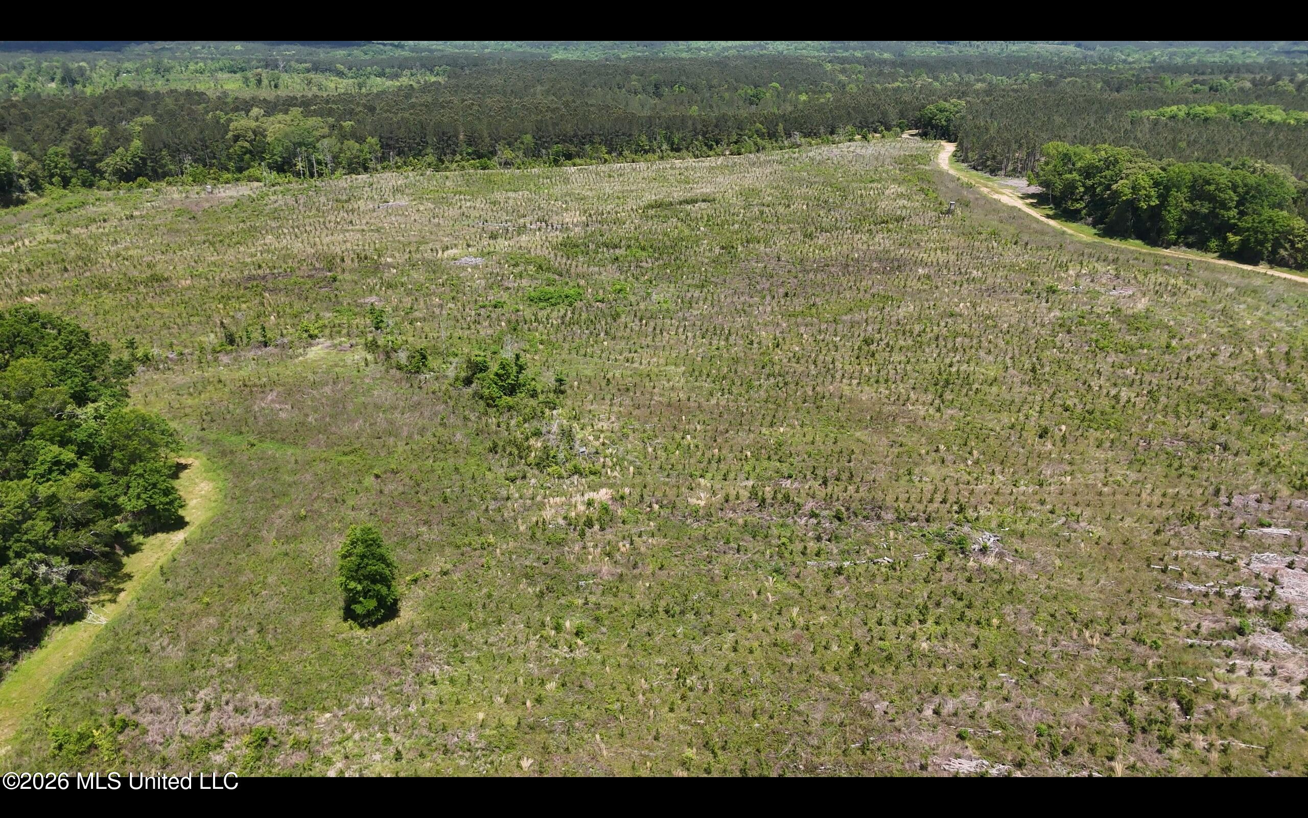 Magnolia Holmesville Road McComb, MS 39648 - Photo 16 of 74 Screen Shot 2026-04-15 at 10.43.00 AM 2