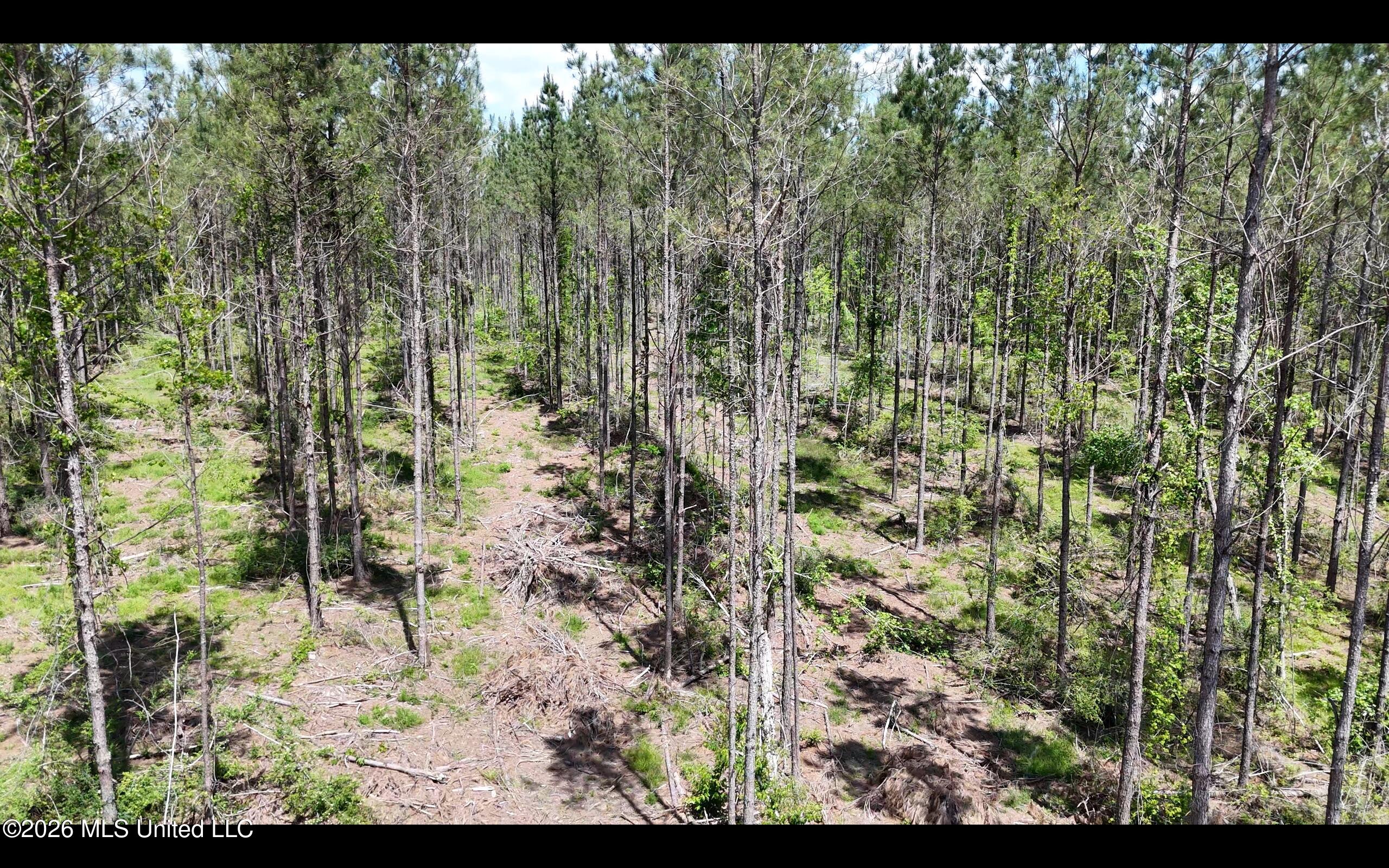 Magnolia Holmesville Road McComb, MS 39648 - Photo 17 of 74 Screen Shot 2026-04-15 at 10.43.14 AM 2