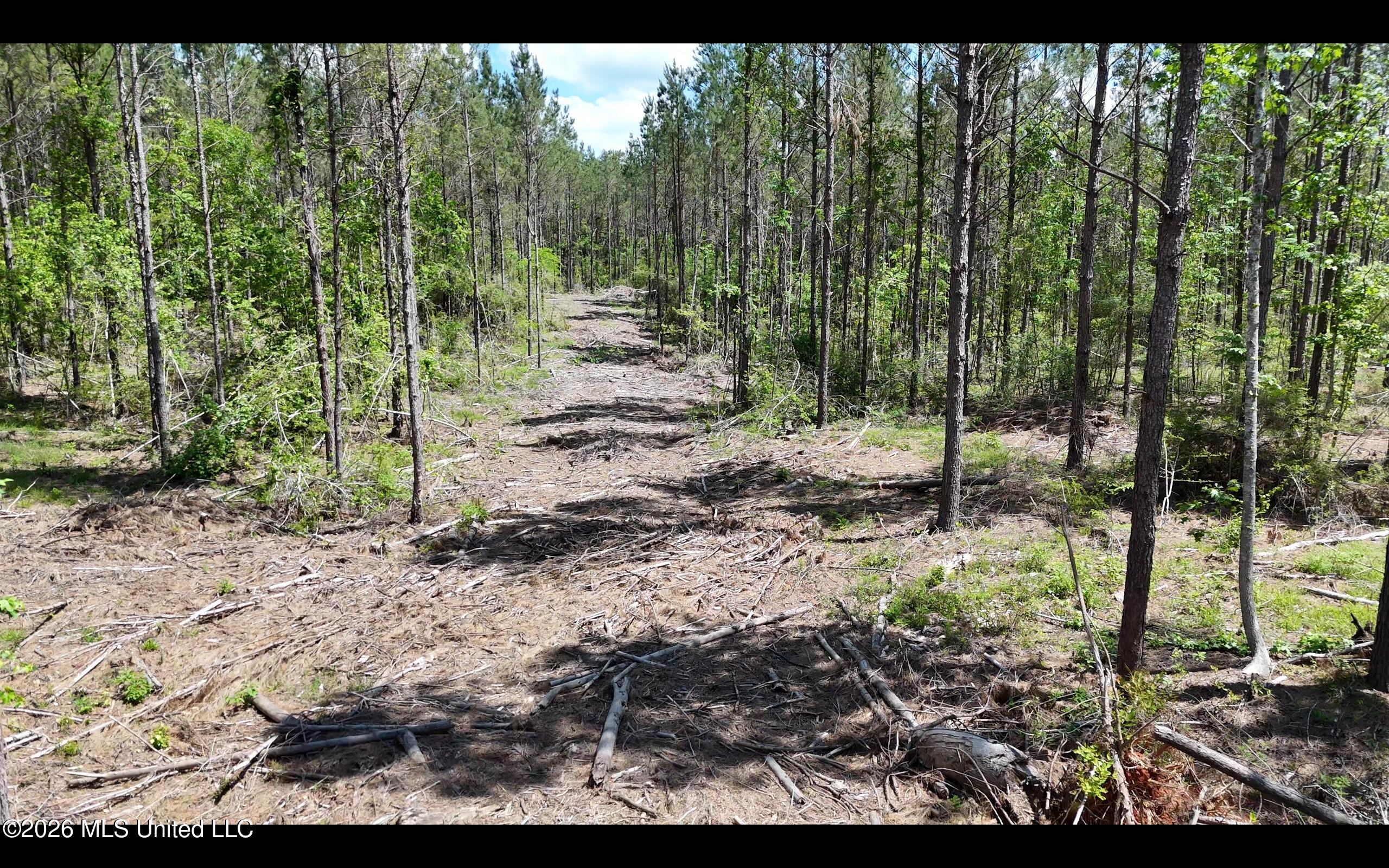 Magnolia Holmesville Road McComb, MS 39648 - Photo 18 of 74 Screen Shot 2026-04-15 at 10.43.24 AM 2