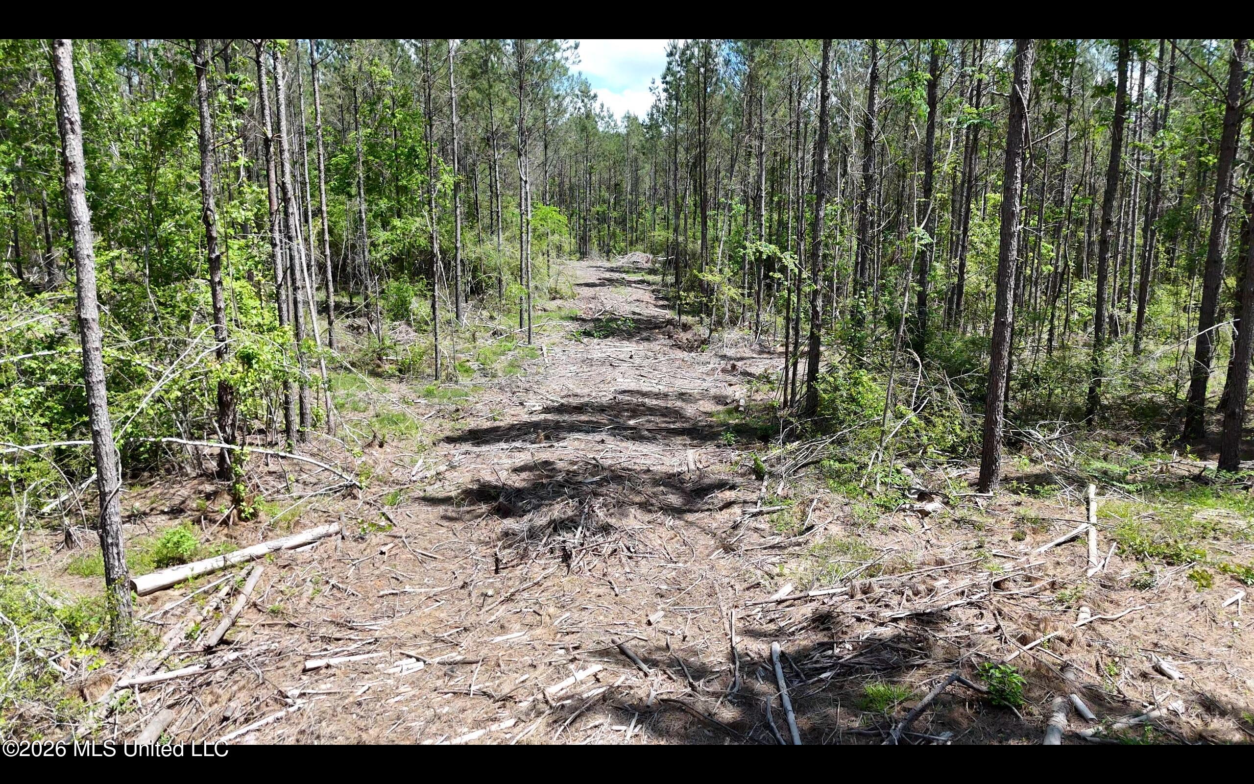 Magnolia Holmesville Road McComb, MS 39648 - Photo 19 of 74 Screen Shot 2026-04-15 at 10.43.32 AM 2