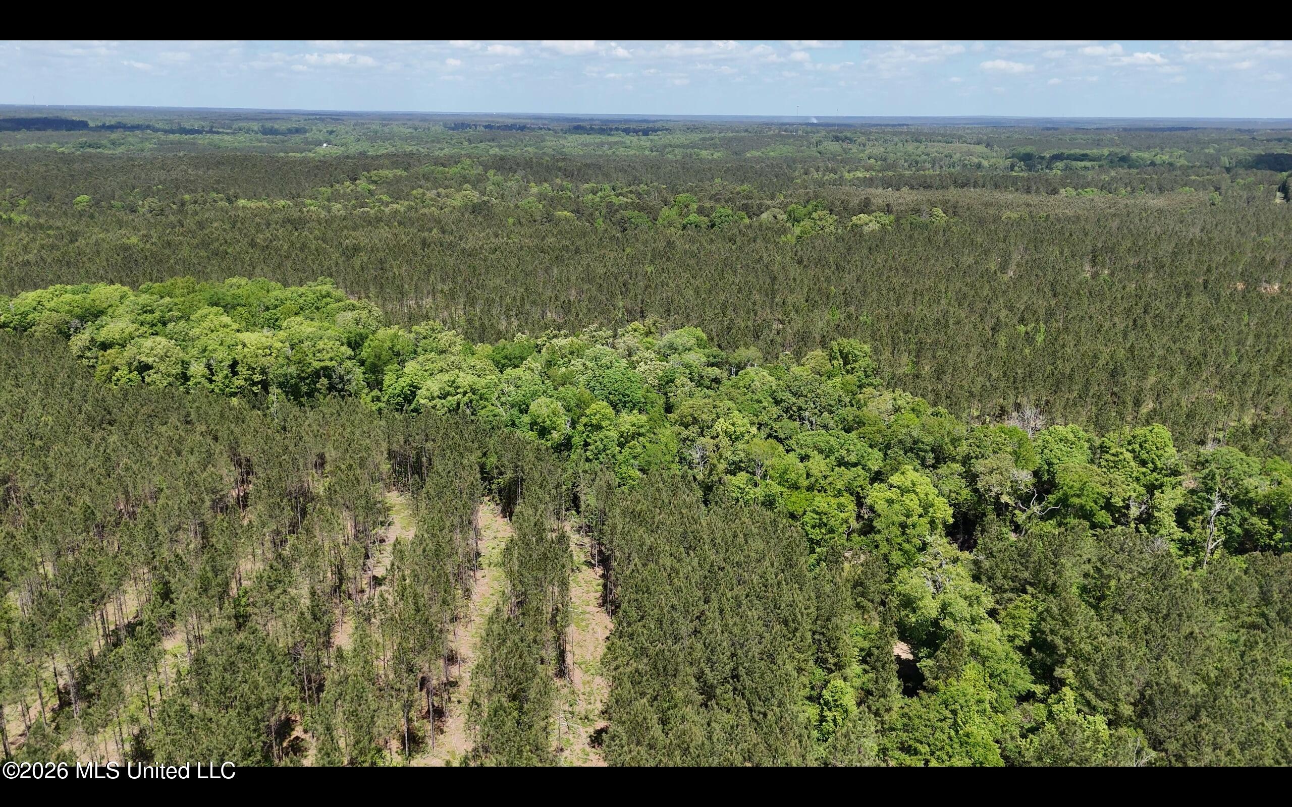 Magnolia Holmesville Road McComb, MS 39648 - Photo 20 of 74 Screen Shot 2026-04-15 at 10.43.48 AM 2