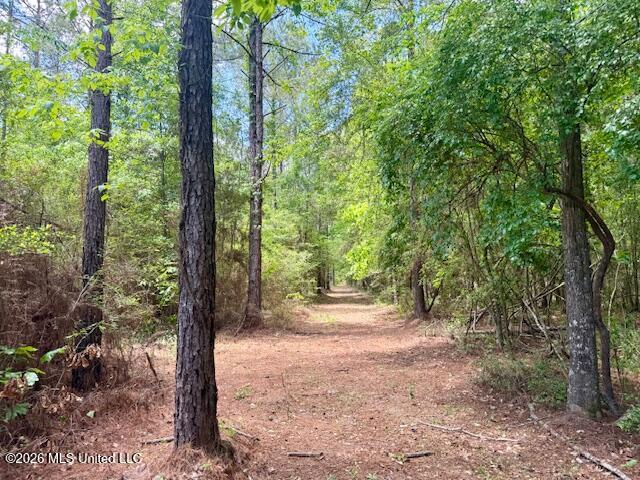Magnolia Holmesville Road McComb, MS 39648 - Photo 2 of 74 IMG_8212