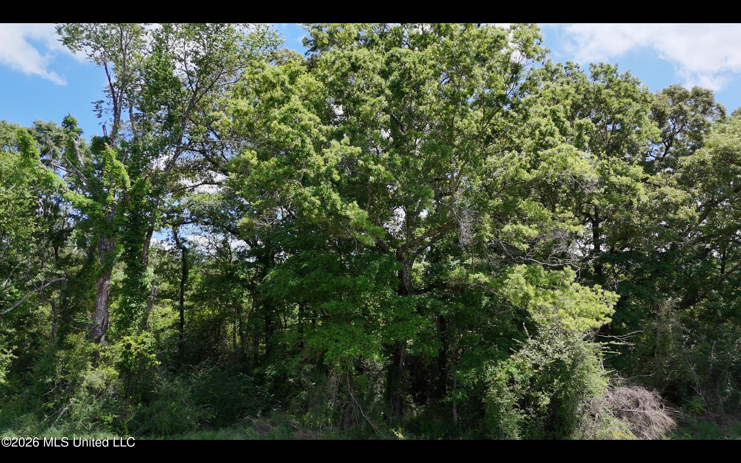 Magnolia Holmesville Road McComb, MS 39648 - Photo 21 of 74 Screen Shot 2026-04-15 at 10.44.25 AM 2
