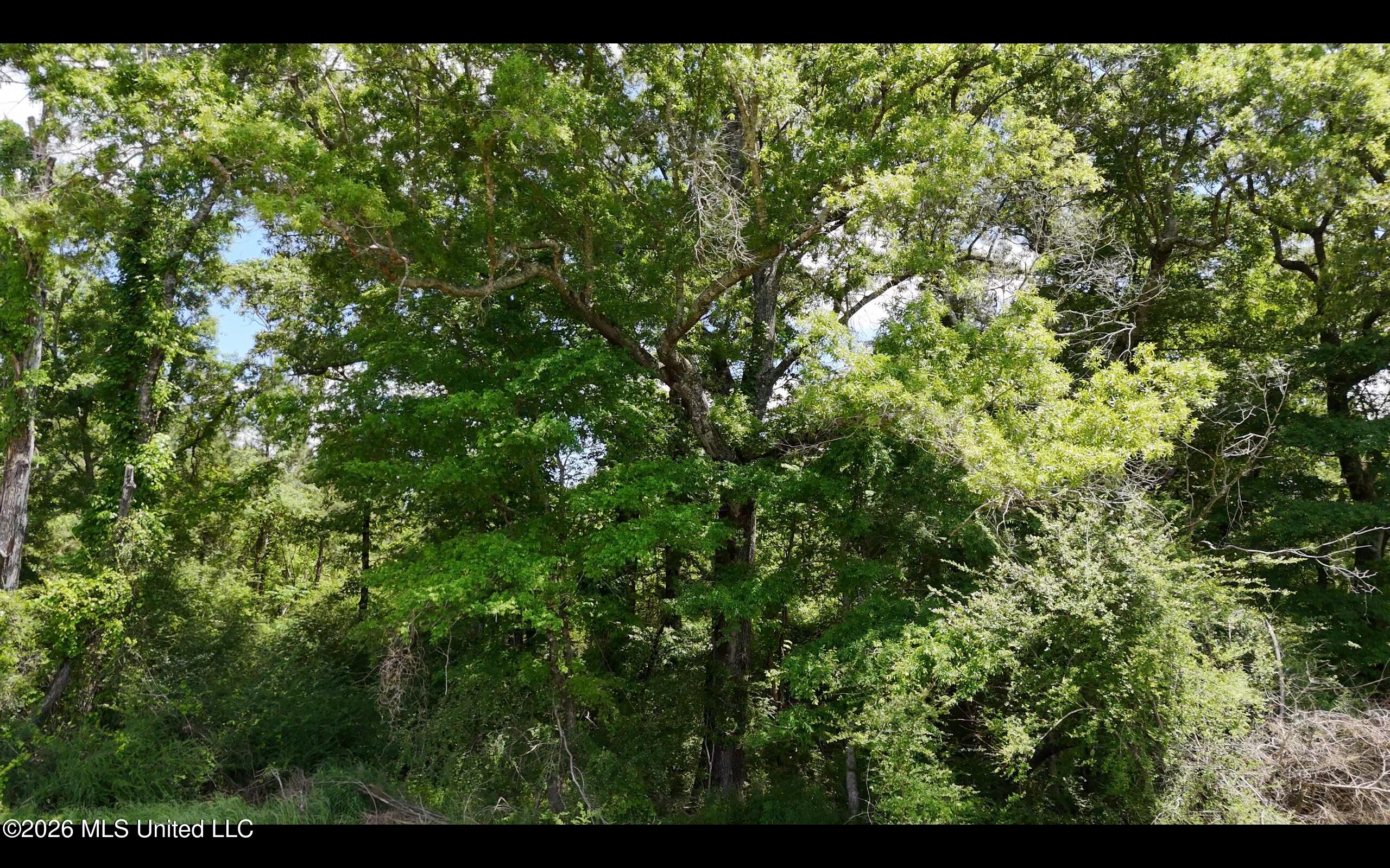 Magnolia Holmesville Road McComb, MS 39648 - Photo 22 of 74 Screen Shot 2026-04-15 at 10.44.56 AM 2