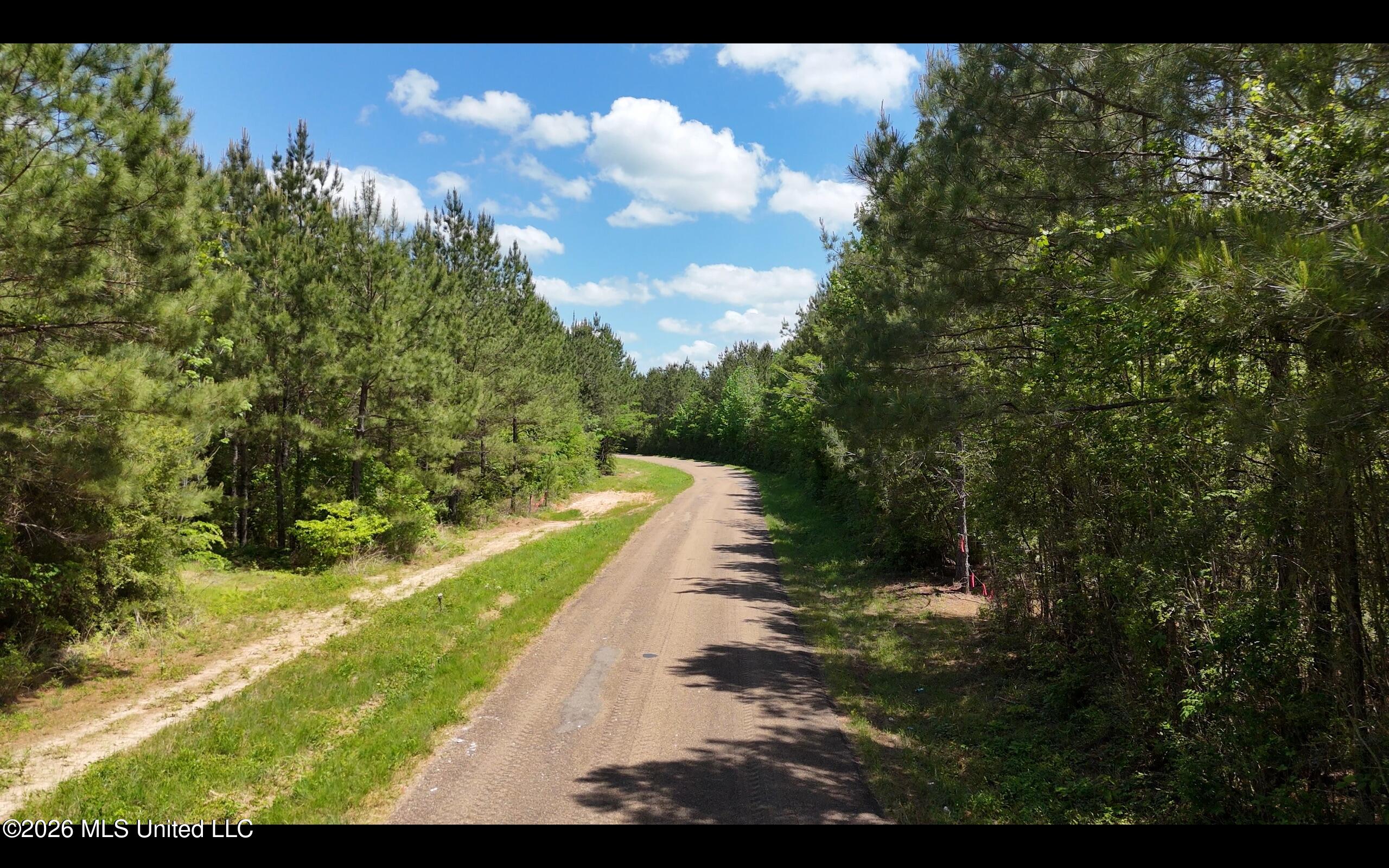 Magnolia Holmesville Road McComb, MS 39648 - Photo 23 of 74 Screen Shot 2026-04-15 at 10.45.11 AM 2
