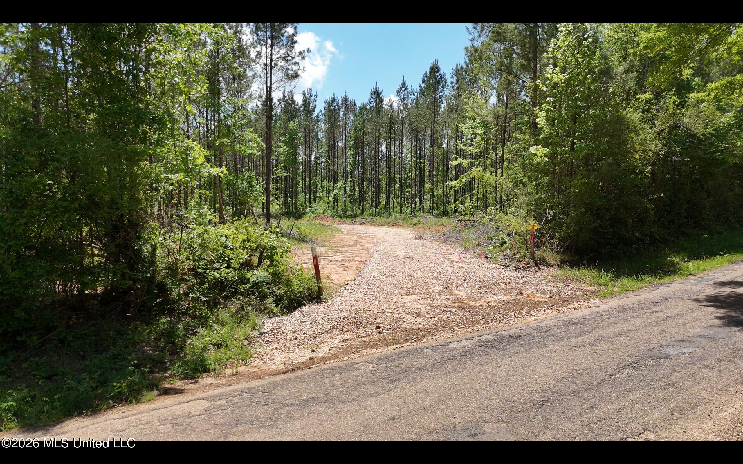 Magnolia Holmesville Road McComb, MS 39648 - Photo 24 of 74 Screen Shot 2026-04-15 at 10.45.40 AM 2