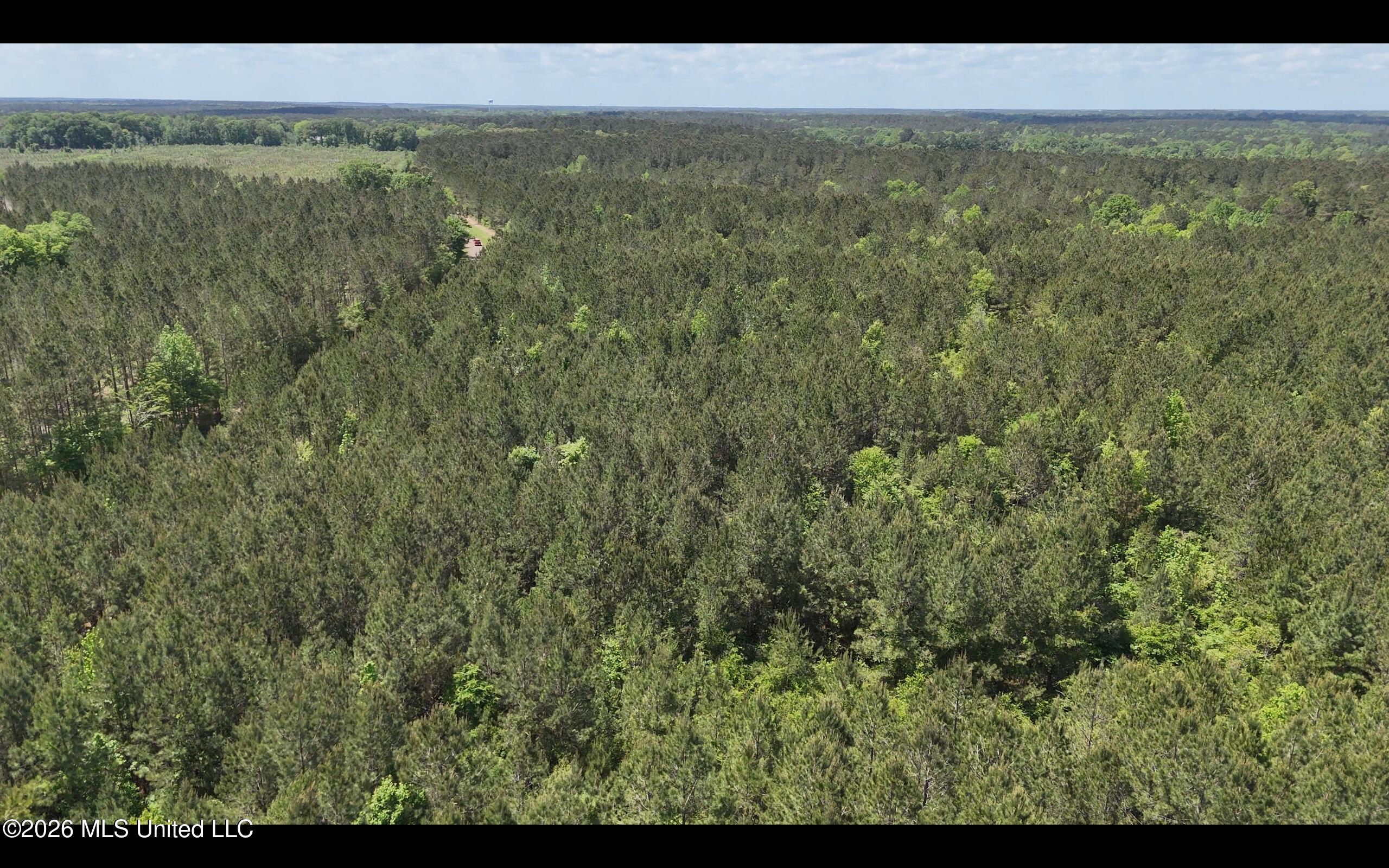 Magnolia Holmesville Road McComb, MS 39648 - Photo 25 of 74 Screen Shot 2026-04-15 at 10.46.33 AM 2