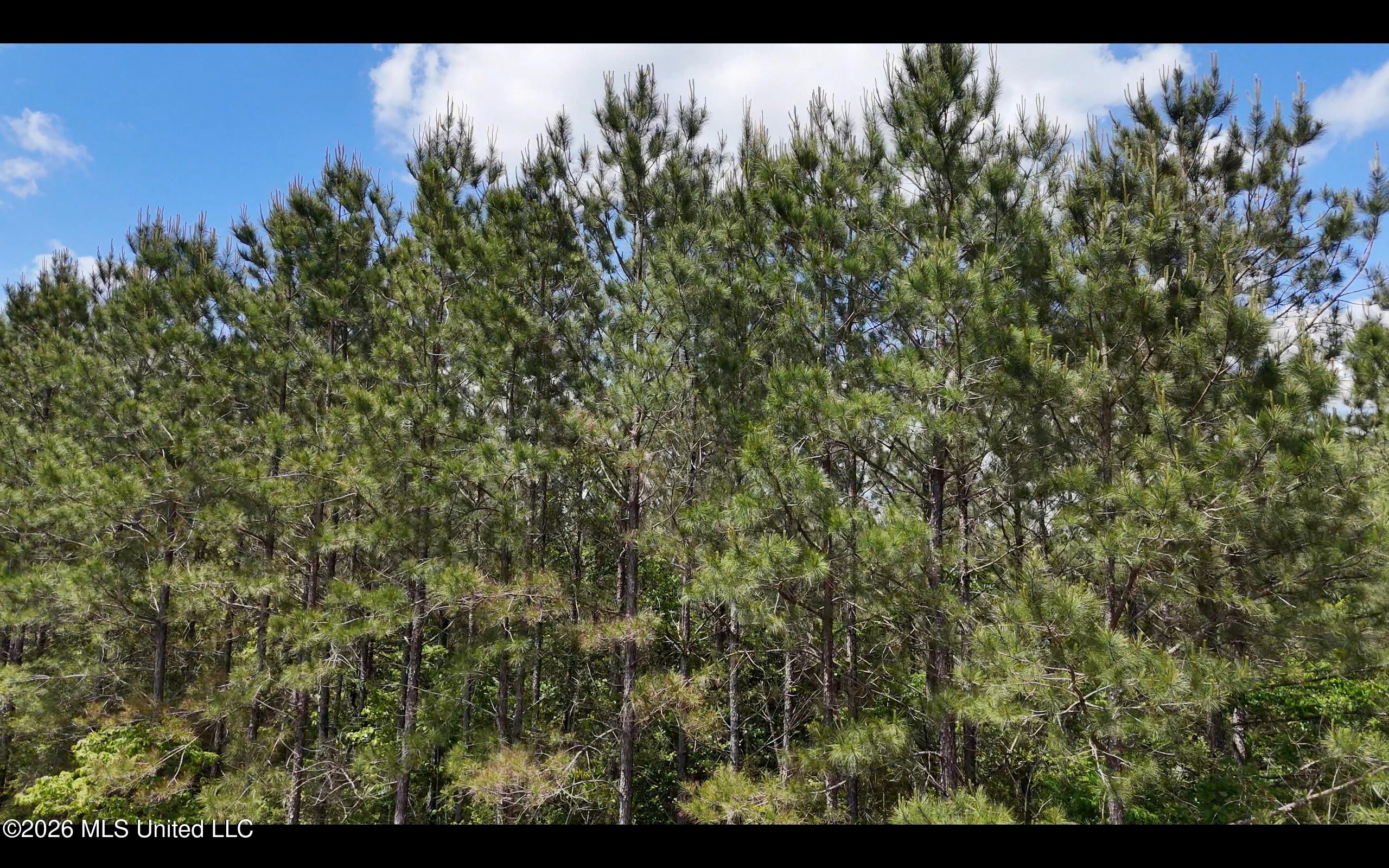 Magnolia Holmesville Road McComb, MS 39648 - Photo 26 of 74 Screen Shot 2026-04-15 at 10.47.23 AM 2