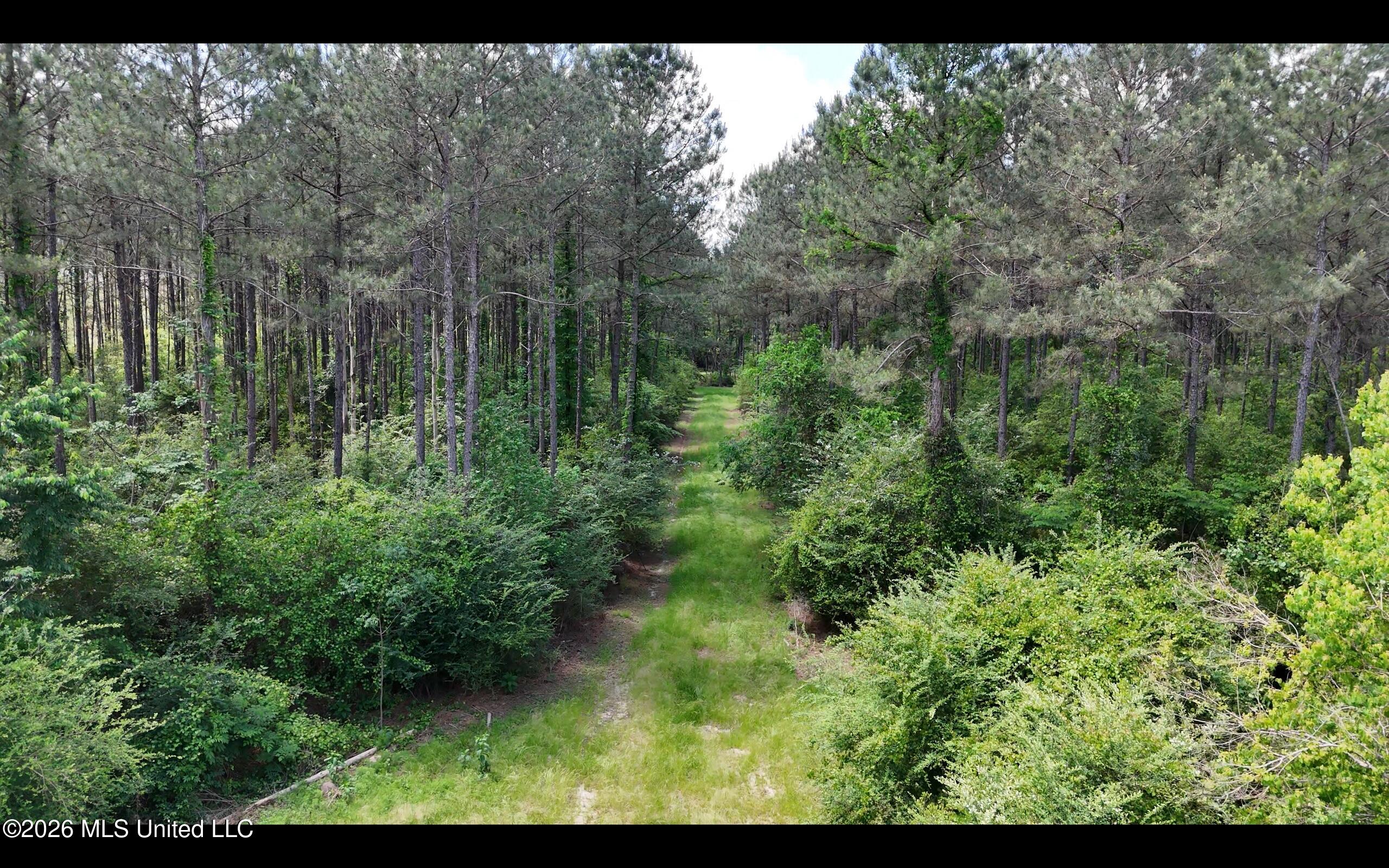 Magnolia Holmesville Road McComb, MS 39648 - Photo 28 of 74 Screen Shot 2026-04-15 at 10.48.02 AM 2