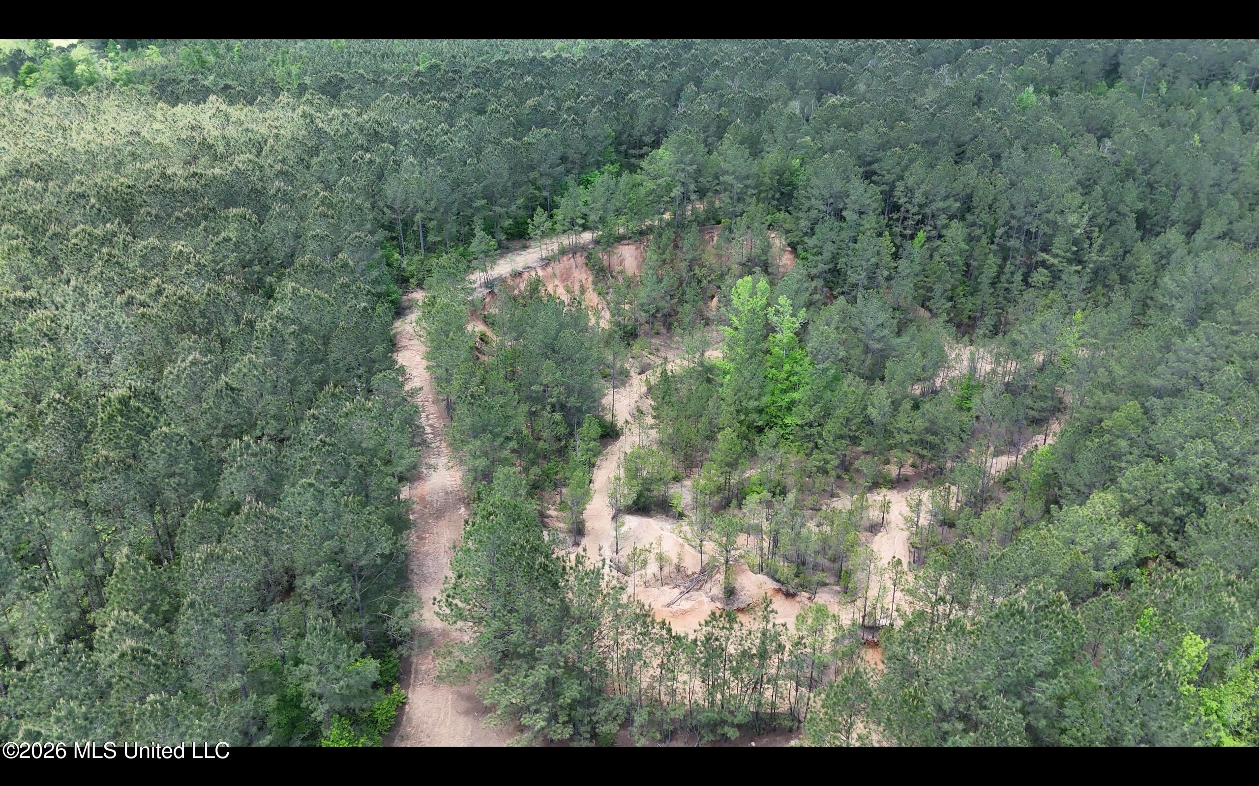 Magnolia Holmesville Road McComb, MS 39648 - Photo 29 of 74 Screen Shot 2026-04-15 at 10.48.13 AM 2