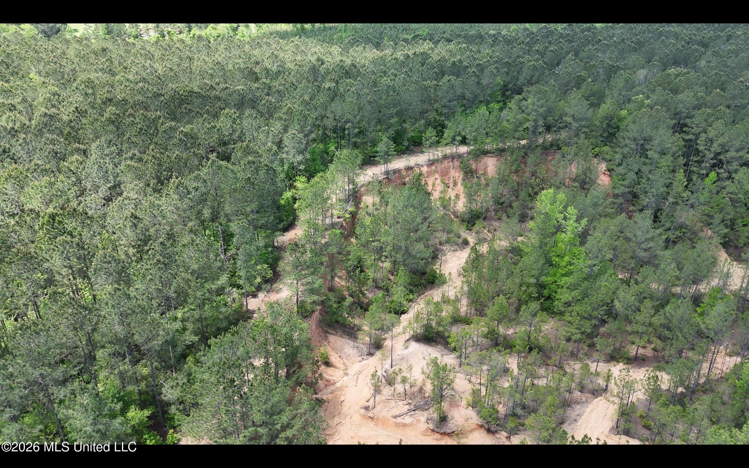 Magnolia Holmesville Road McComb, MS 39648 - Photo 30 of 74 Screen Shot 2026-04-15 at 10.48.29 AM 2