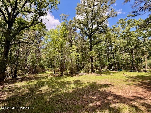 Magnolia Holmesville Road McComb, MS 39648 - Photo 3 of 74 IMG_8230