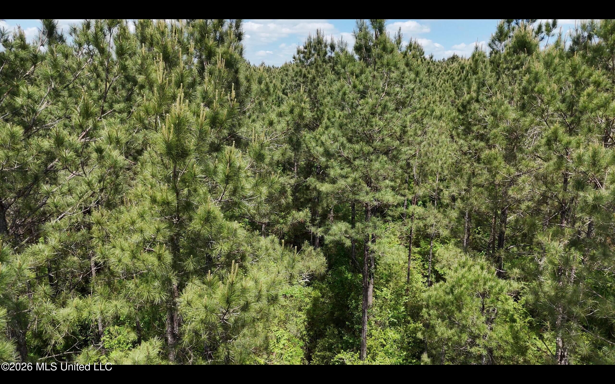 Magnolia Holmesville Road McComb, MS 39648 - Photo 31 of 74 Screen Shot 2026-04-15 at 10.50.33 AM 2