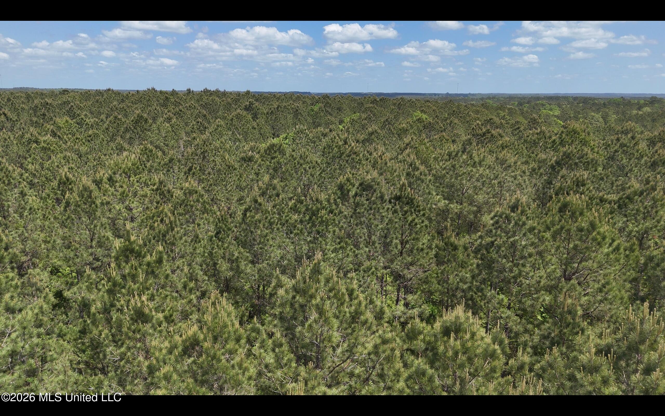 Magnolia Holmesville Road McComb, MS 39648 - Photo 32 of 74 Screen Shot 2026-04-15 at 10.50.45 AM 2