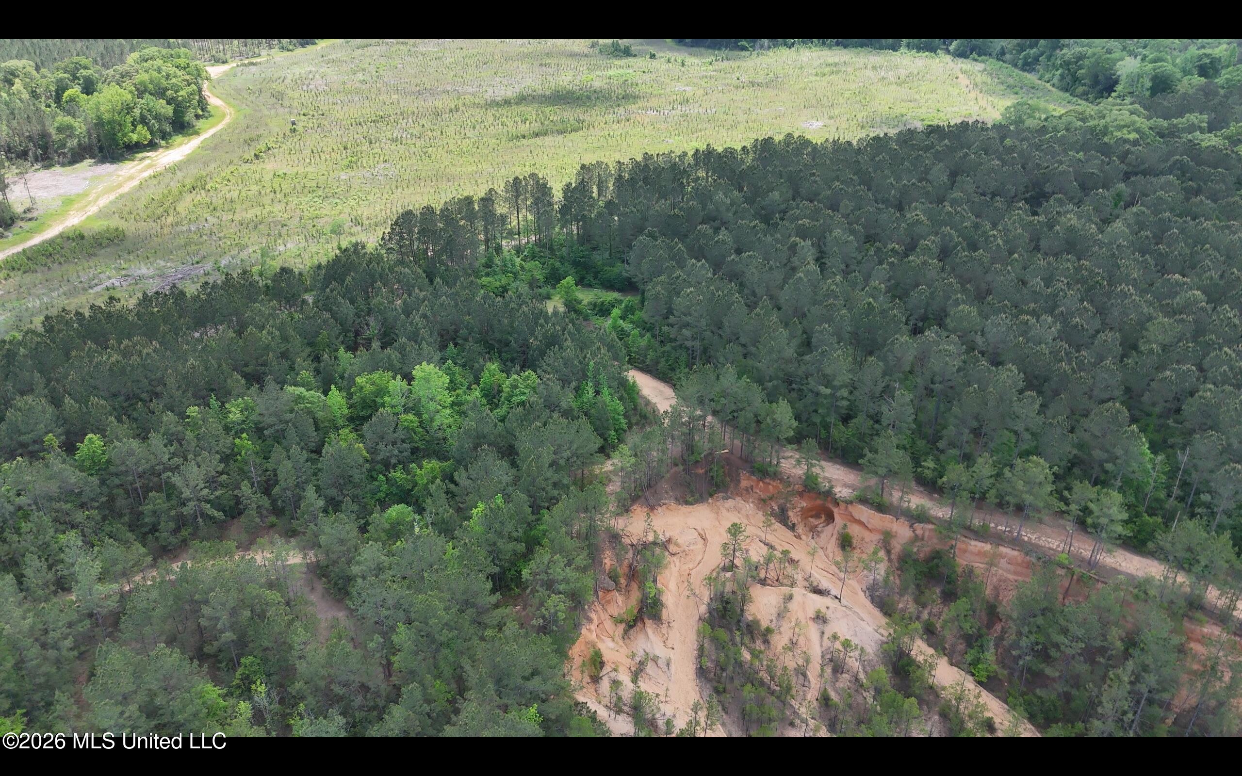 Magnolia Holmesville Road McComb, MS 39648 - Photo 33 of 74 Screen Shot 2026-04-15 at 10.52.15 AM 2