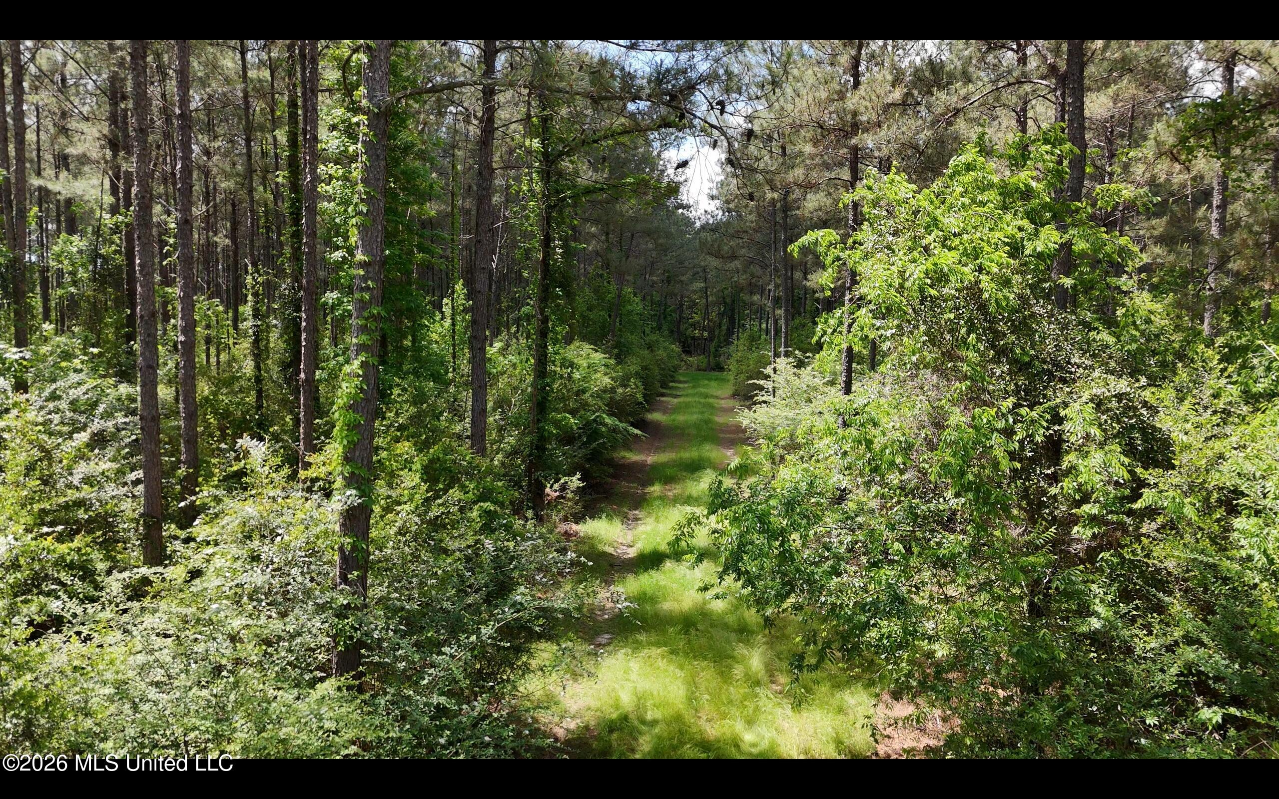 Magnolia Holmesville Road McComb, MS 39648 - Photo 34 of 74 Screen Shot 2026-04-15 at 10.53.42 AM 2