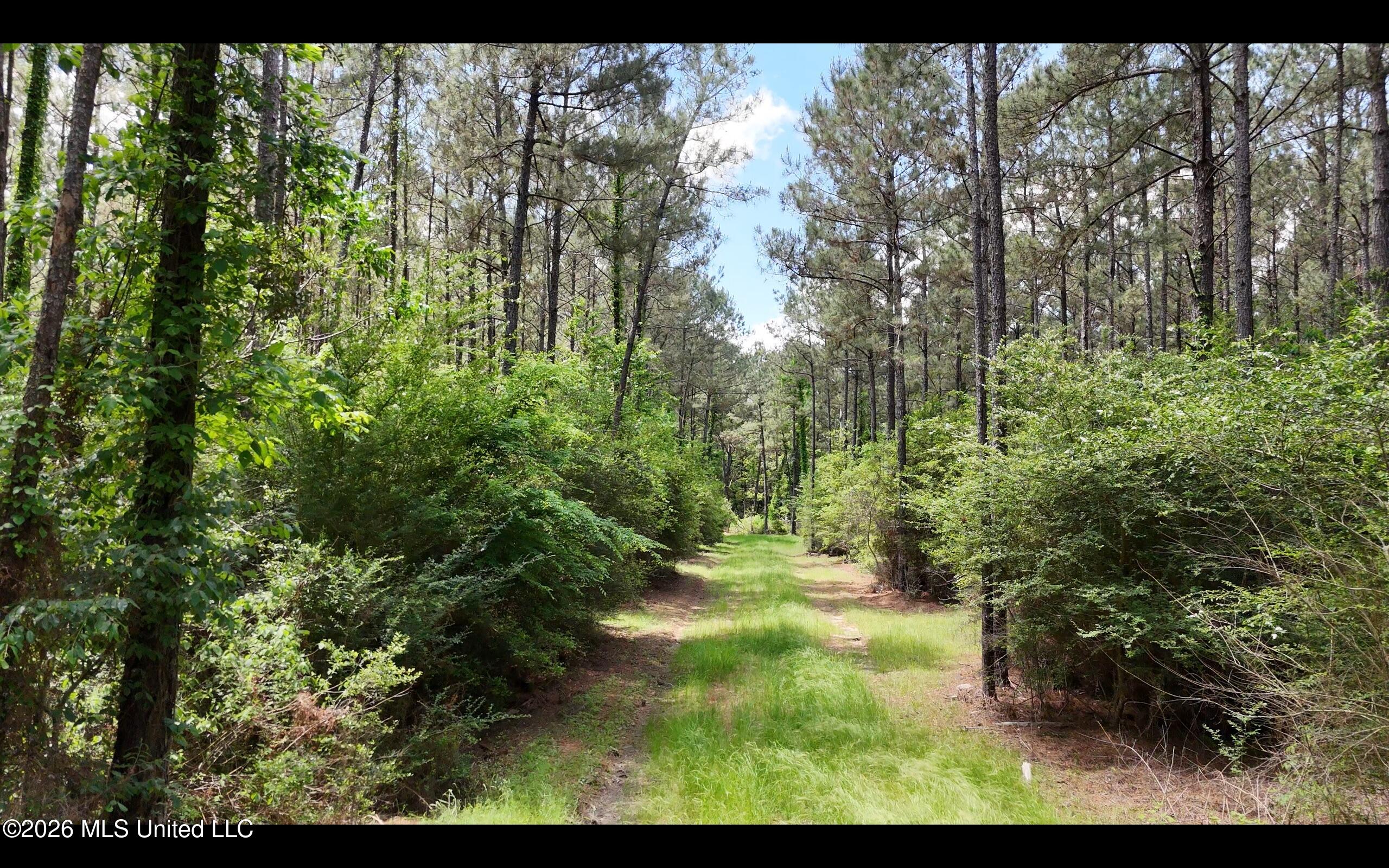 Magnolia Holmesville Road McComb, MS 39648 - Photo 35 of 74 Screen Shot 2026-04-15 at 10.53.57 AM 2