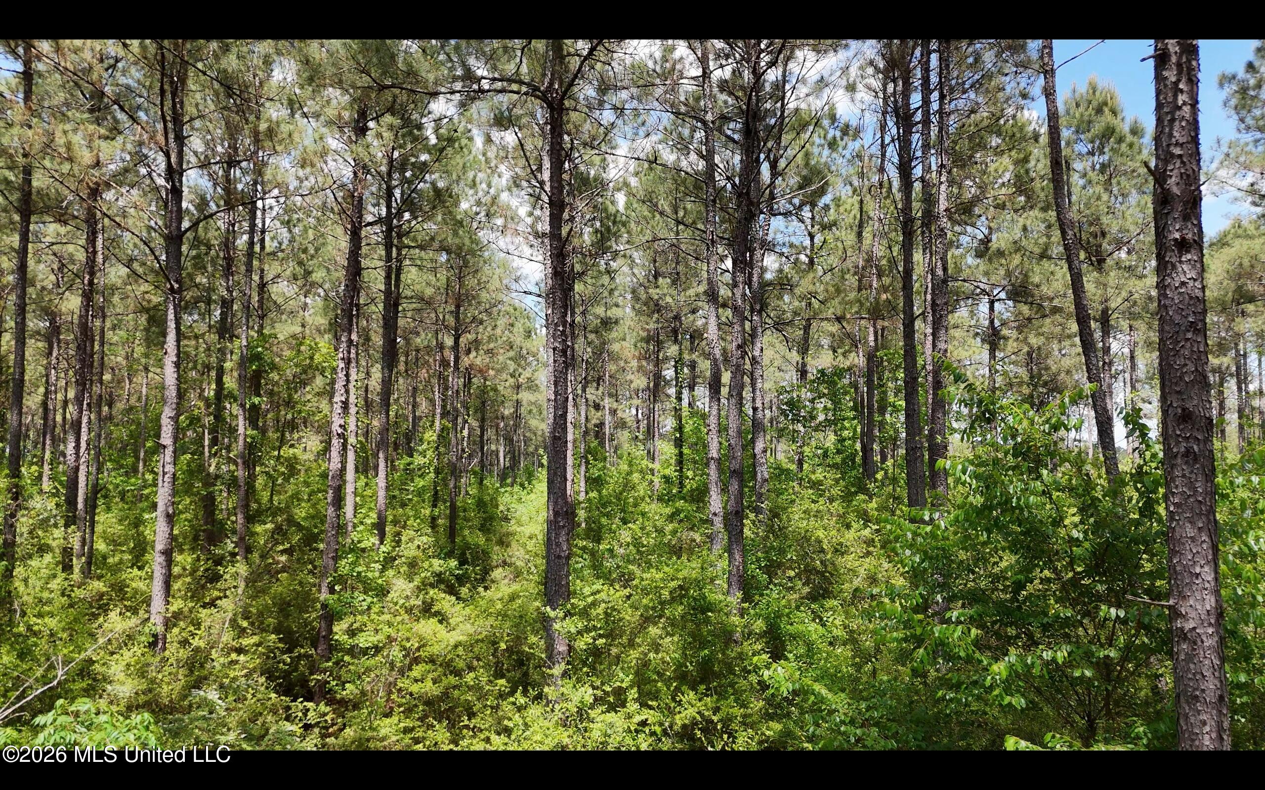 Magnolia Holmesville Road McComb, MS 39648 - Photo 36 of 74 Screen Shot 2026-04-15 at 10.55.03 AM 2
