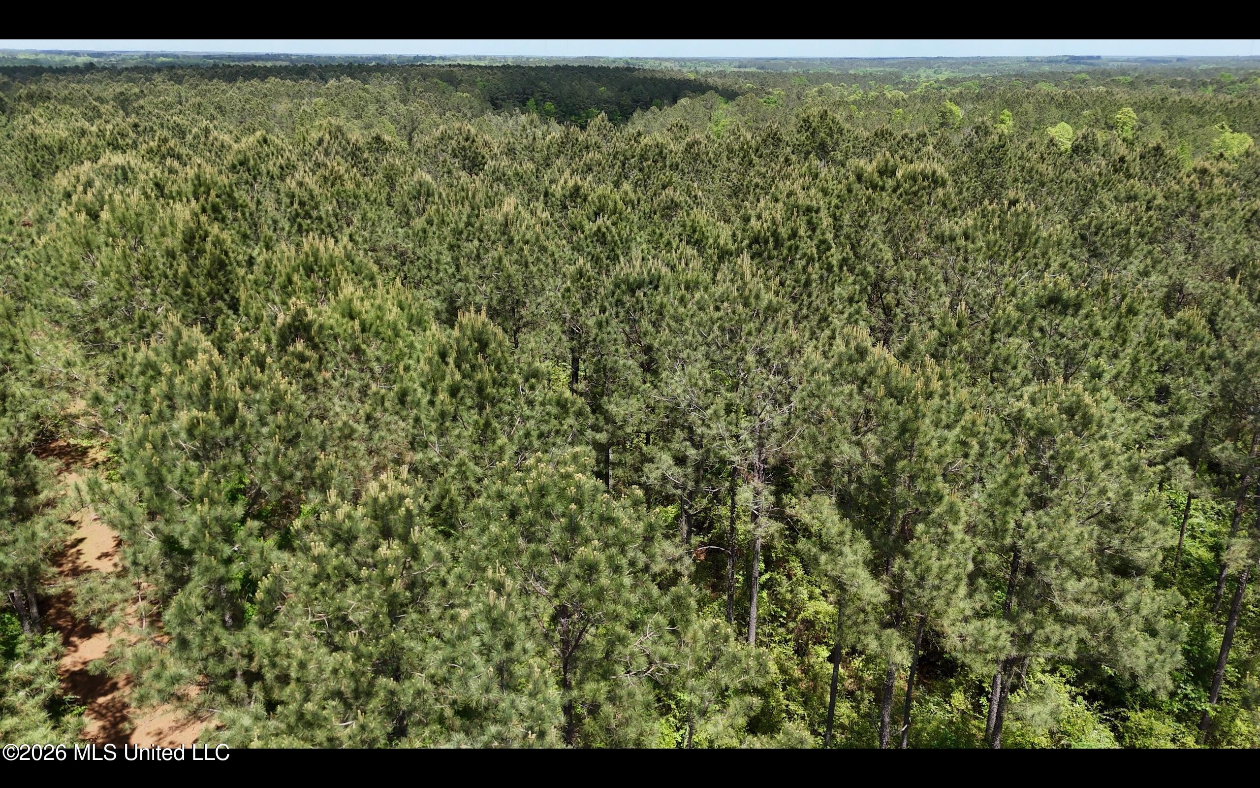Magnolia Holmesville Road McComb, MS 39648 - Photo 37 of 74 Screen Shot 2026-04-15 at 10.55.49 AM 2