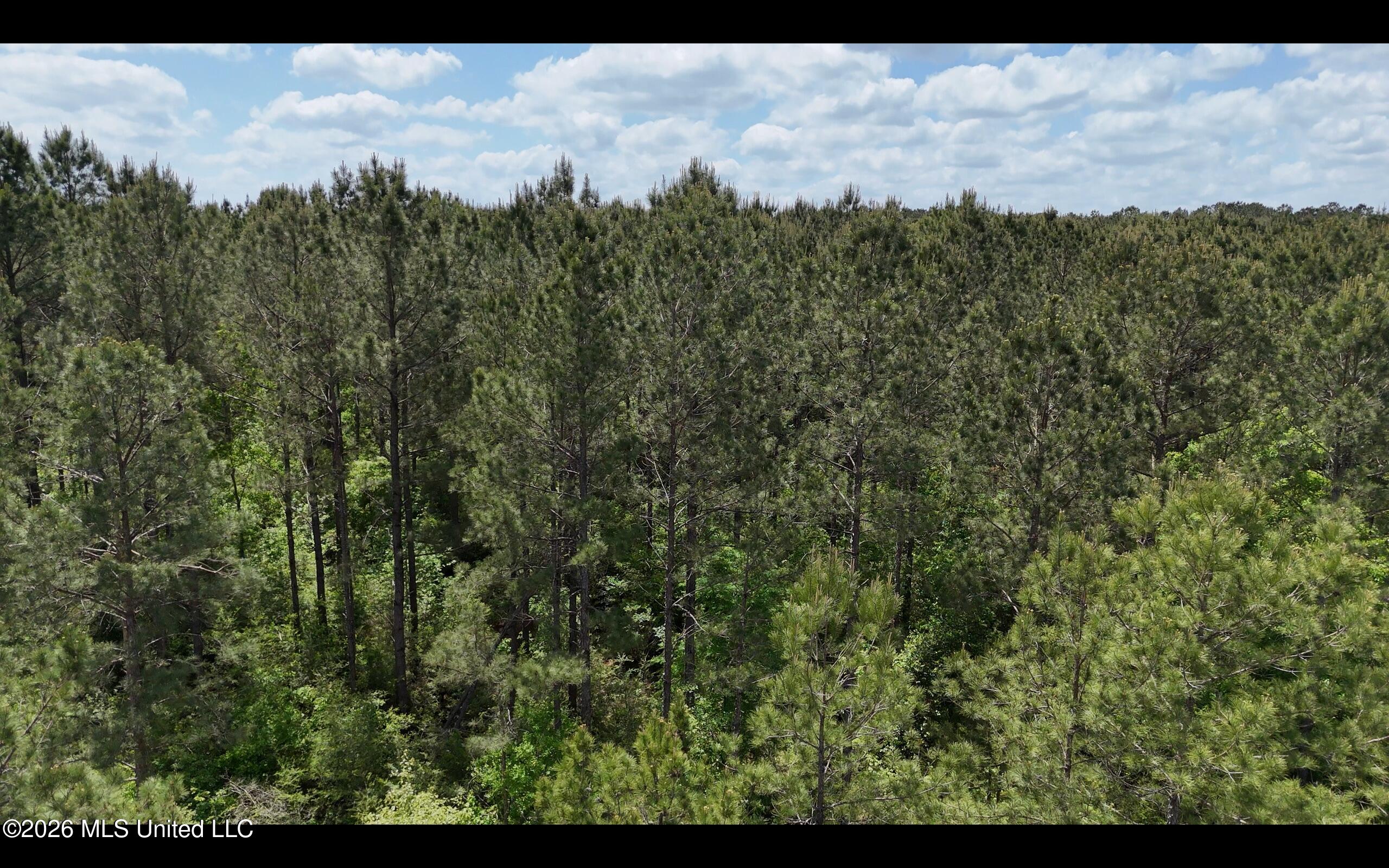 Magnolia Holmesville Road McComb, MS 39648 - Photo 38 of 74 Screen Shot 2026-04-15 at 11.17.06 AM 2