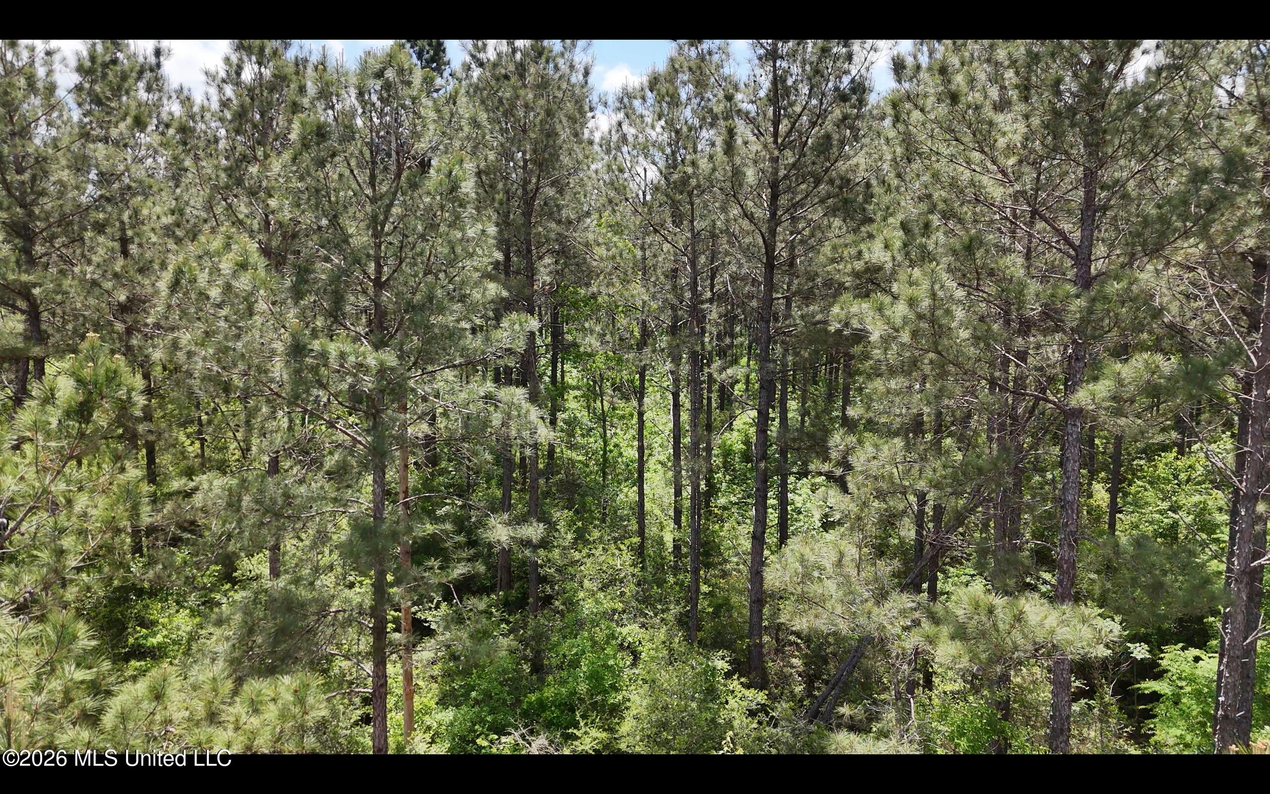 Magnolia Holmesville Road McComb, MS 39648 - Photo 39 of 74 Screen Shot 2026-04-15 at 11.31.12 AM 2