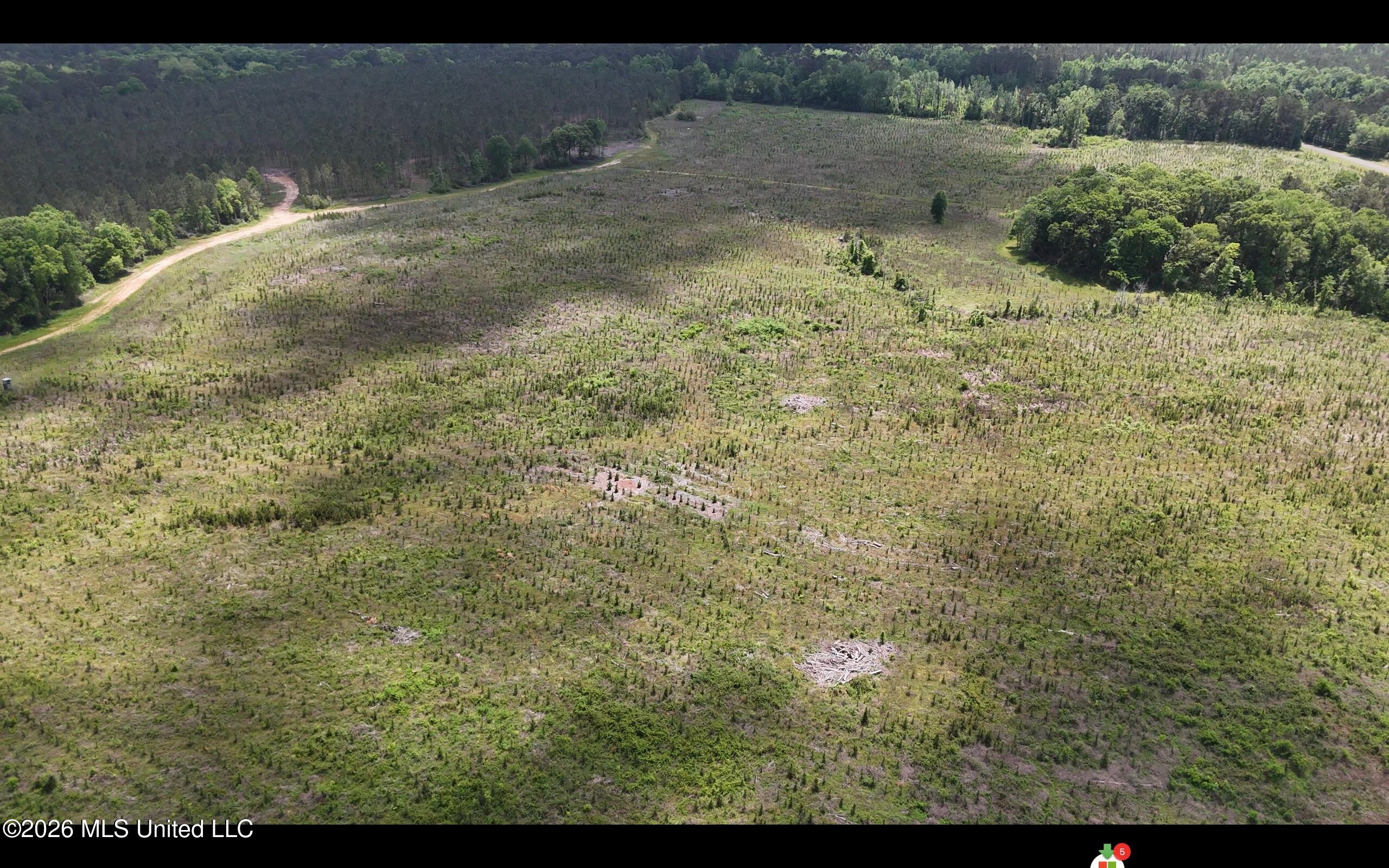 Magnolia Holmesville Road McComb, MS 39648 - Photo 40 of 74 Screen Shot 2026-04-15 at 12.06.52 PM 2