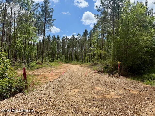 Magnolia Holmesville Road McComb, MS 39648 - Photo 4 of 74 IMG_8243