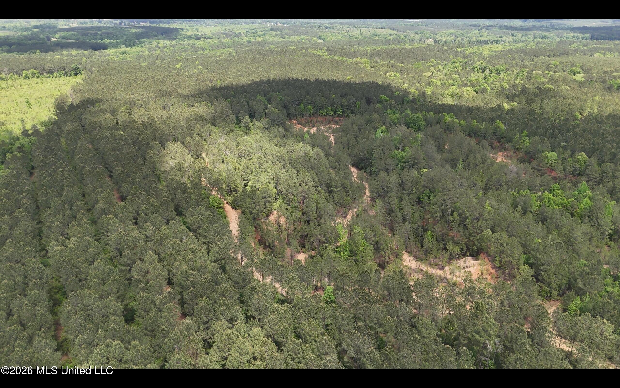Magnolia Holmesville Road McComb, MS 39648 - Photo 41 of 74 Screen Shot 2026-04-15 at 12.07.06 PM 2