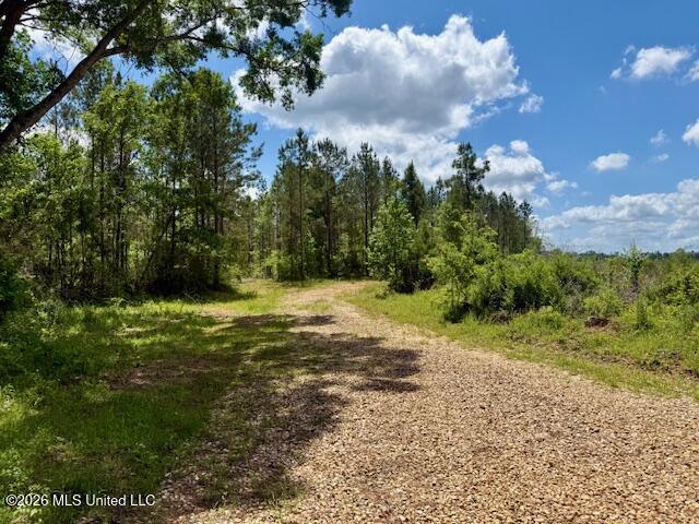 Magnolia Holmesville Road McComb, MS 39648 - Photo 44 of 74 IMG_8195