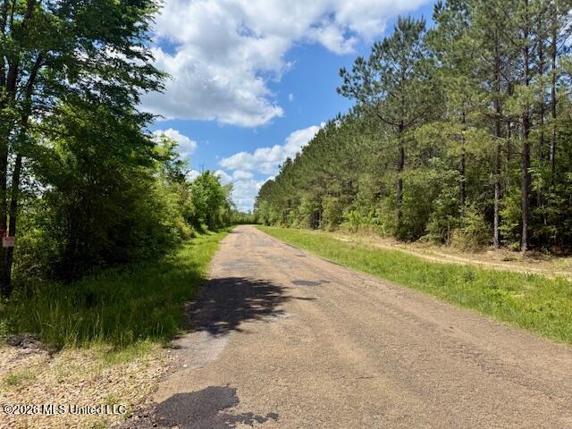 Magnolia Holmesville Road McComb, MS 39648 - Photo 45 of 74 IMG_8196