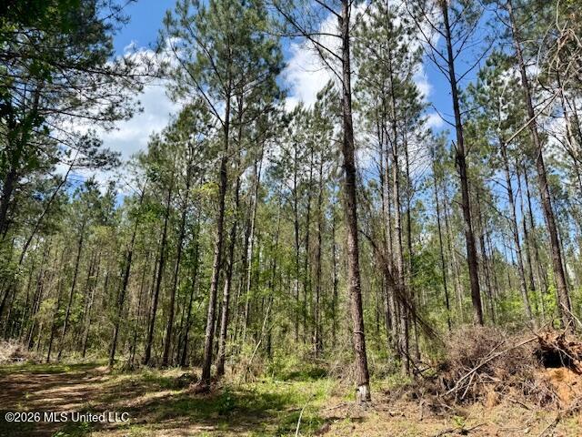 Magnolia Holmesville Road McComb, MS 39648 - Photo 47 of 74 IMG_8199