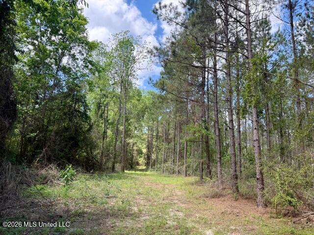 Magnolia Holmesville Road McComb, MS 39648 - Photo 48 of 74 IMG_8201