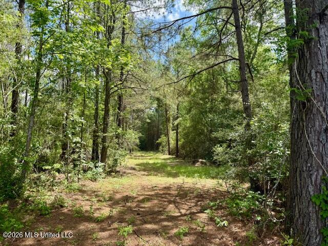 Magnolia Holmesville Road McComb, MS 39648 - Photo 49 of 74 IMG_8202