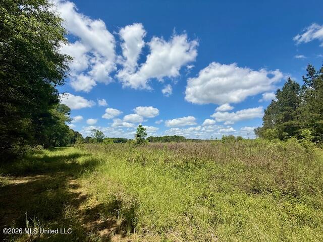 Magnolia Holmesville Road McComb, MS 39648 - Photo 50 of 74 IMG_8203