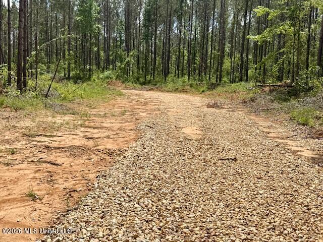 Magnolia Holmesville Road McComb, MS 39648 - Photo 5 of 74 IMG_8246