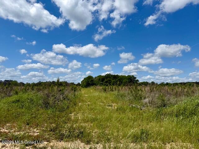 Magnolia Holmesville Road McComb, MS 39648 - Photo 52 of 74 IMG_8205