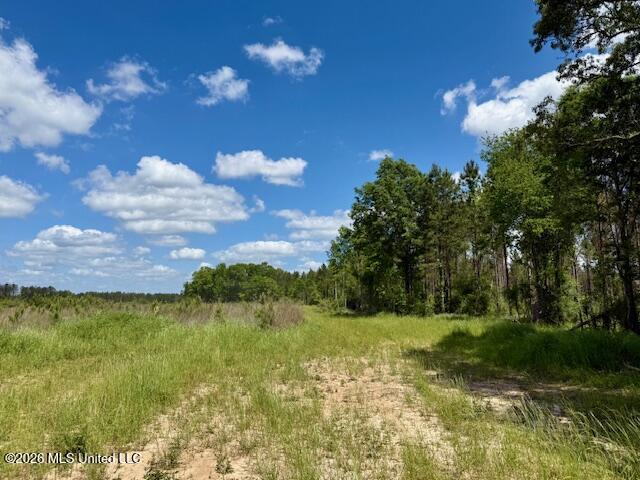 Magnolia Holmesville Road McComb, MS 39648 - Photo 53 of 74 IMG_8206