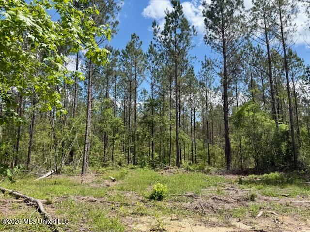 Magnolia Holmesville Road McComb, MS 39648 - Photo 54 of 74 IMG_8208