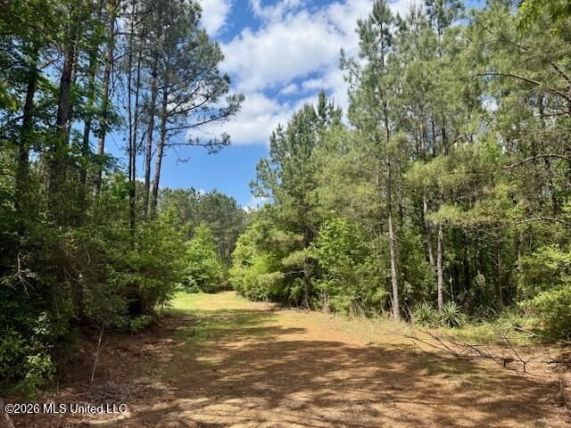 Magnolia Holmesville Road McComb, MS 39648 - Photo 55 of 74 IMG_8211