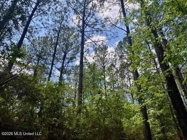 Magnolia Holmesville Road McComb, MS 39648 - Photo 56 of 74 IMG_8213