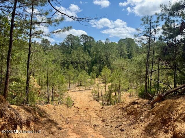 Magnolia Holmesville Road McComb, MS 39648 - Photo 57 of 74 IMG_8216