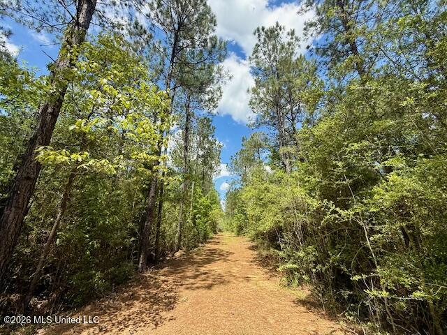 Magnolia Holmesville Road McComb, MS 39648 - Photo 58 of 74 IMG_8218