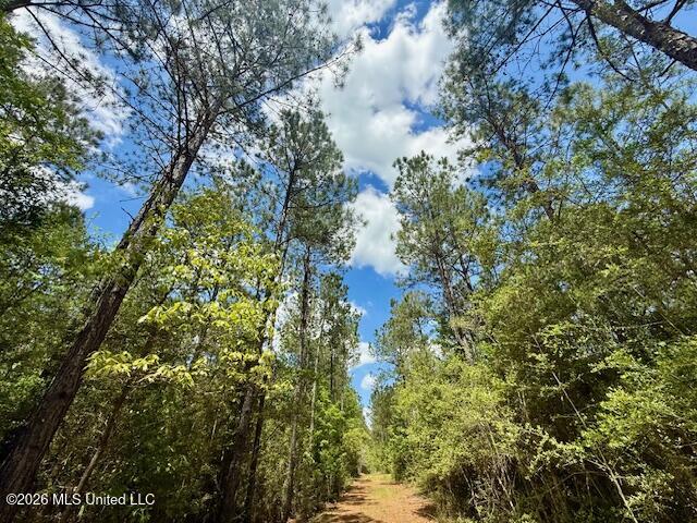 Magnolia Holmesville Road McComb, MS 39648 - Photo 59 of 74 IMG_8219