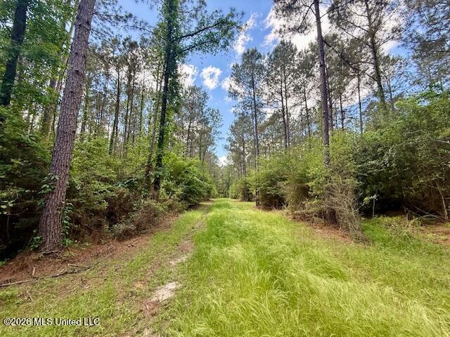 Magnolia Holmesville Road McComb, MS 39648 - Photo 60 of 74 IMG_8221