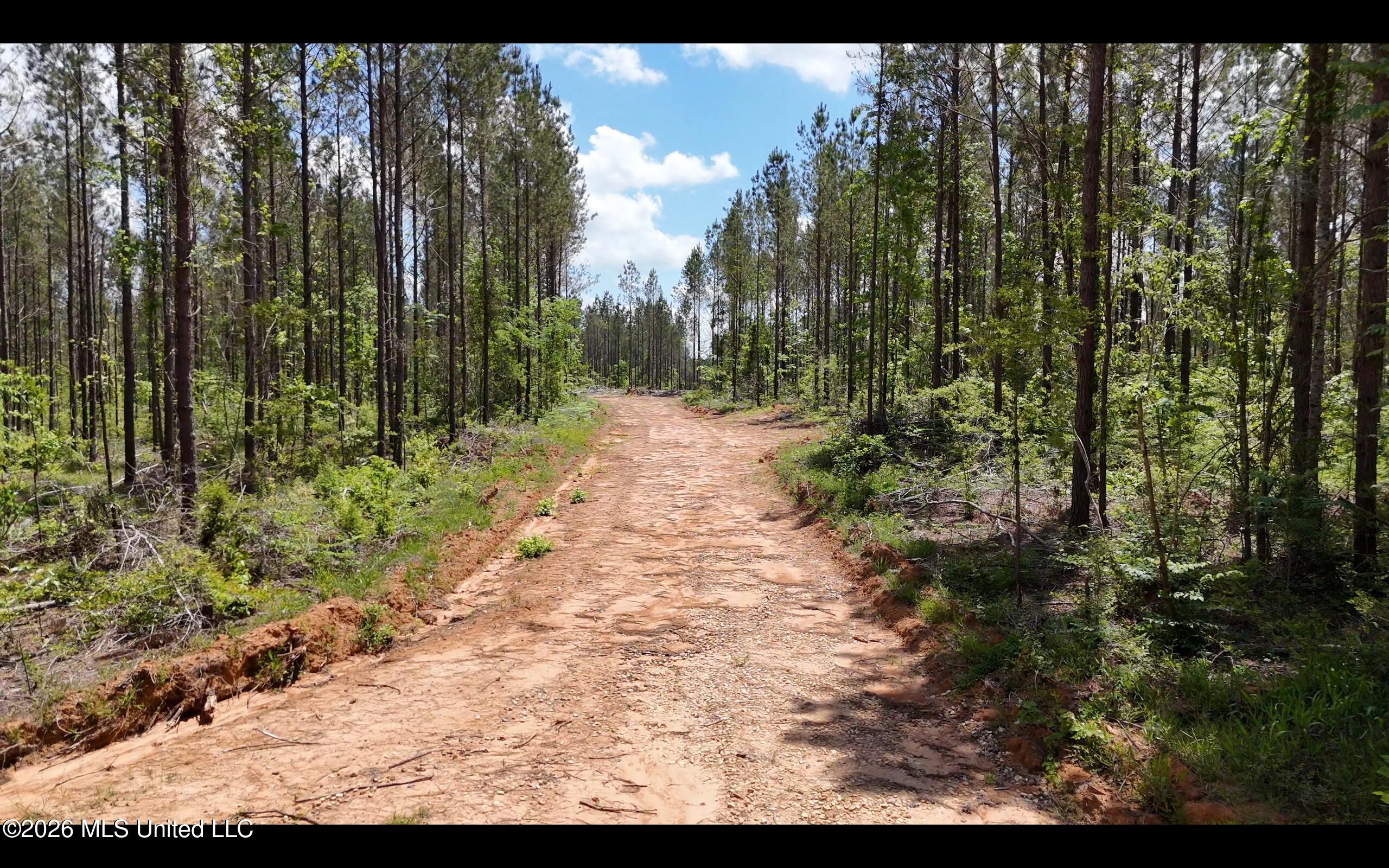 Magnolia Holmesville Road McComb, MS 39648 - Photo 6 of 74 Screen Shot 2026-04-15 at 10.45.52 AM 2