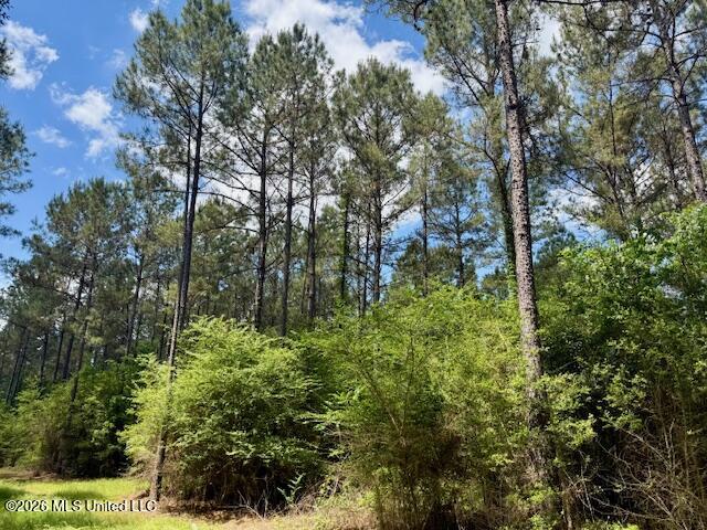 Magnolia Holmesville Road McComb, MS 39648 - Photo 61 of 74 IMG_8224