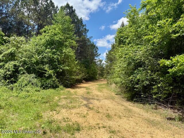 Magnolia Holmesville Road McComb, MS 39648 - Photo 62 of 74 IMG_8225