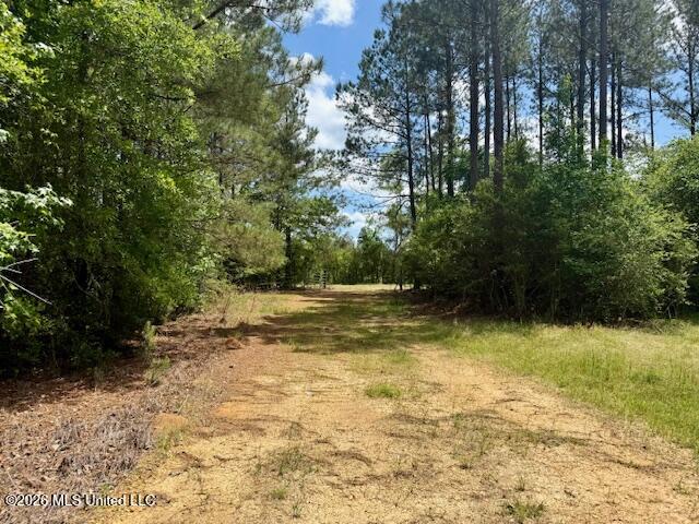 Magnolia Holmesville Road McComb, MS 39648 - Photo 63 of 74 IMG_8226