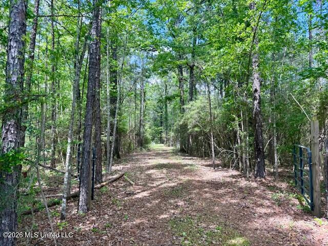Magnolia Holmesville Road McComb, MS 39648 - Photo 64 of 74 IMG_8227